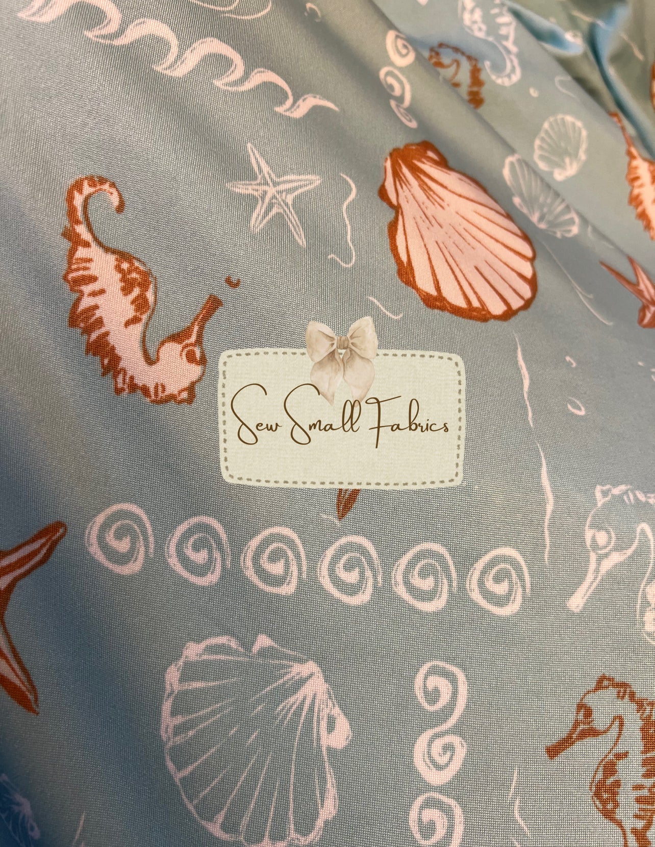 Seafoam Shell
